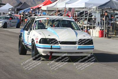 media/Oct-11-2025-Lucky Dog Racing (Sat) [[f5b53147c4]]/1-Around the Pits-Pre Grid/